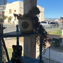 Succulents Of All Sizes In Unique Pots