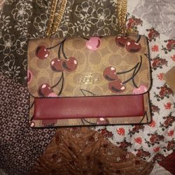 Brandnew Coach Bag 