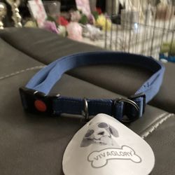 “Vivaglory” Dog Collar Size 2-3XL 