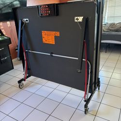 Ping Pong Table