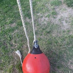Tree Swing