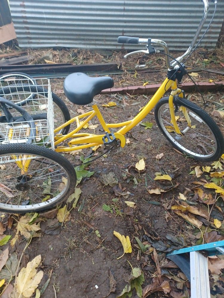 Three Wheeler 