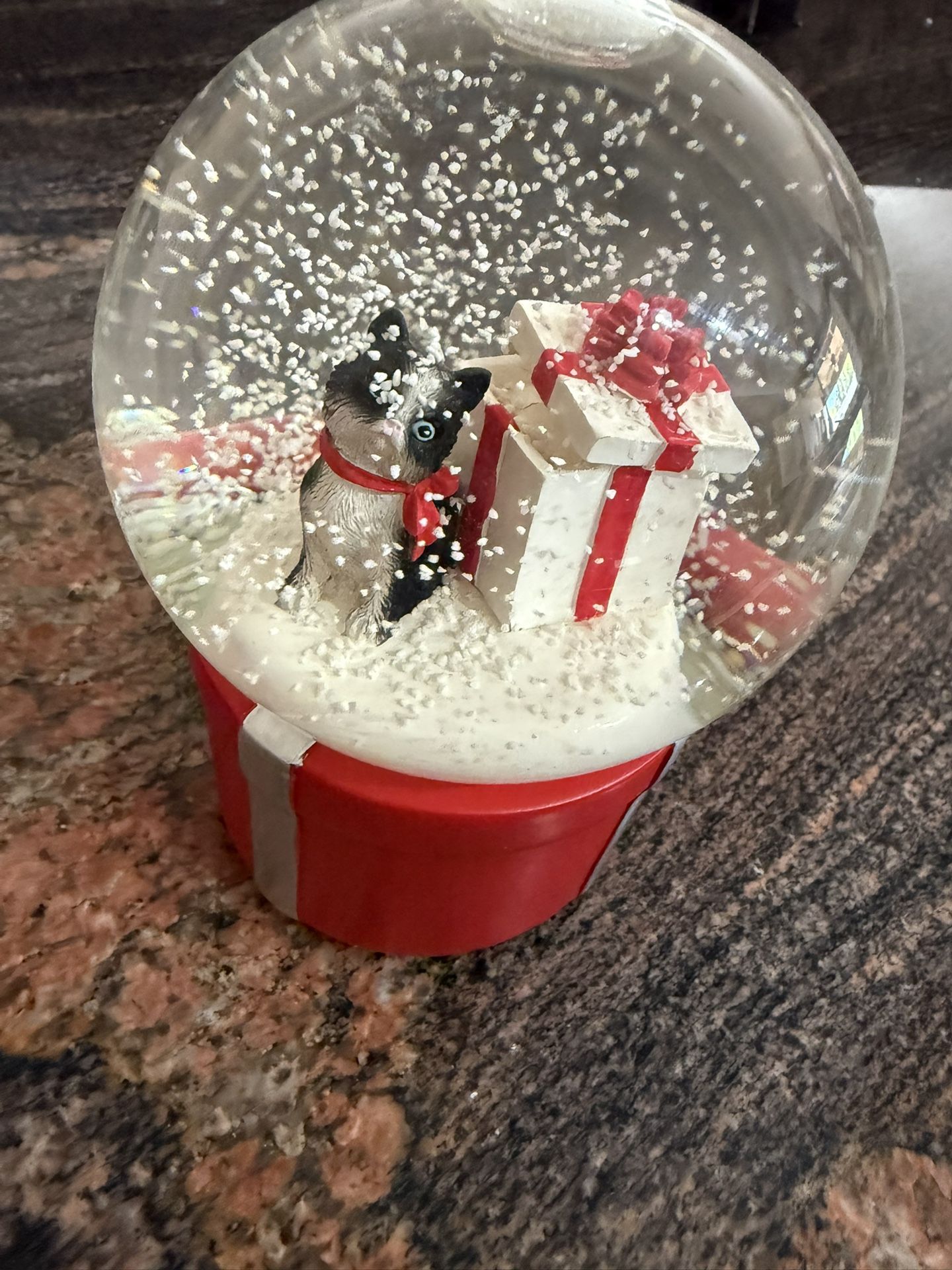 Cat Snow Globe