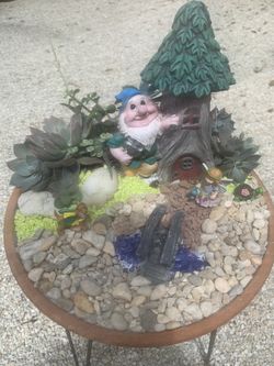 Succulents fairy garden