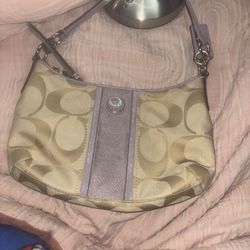 purple and beige coach bag