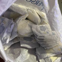 Preemie Diapers