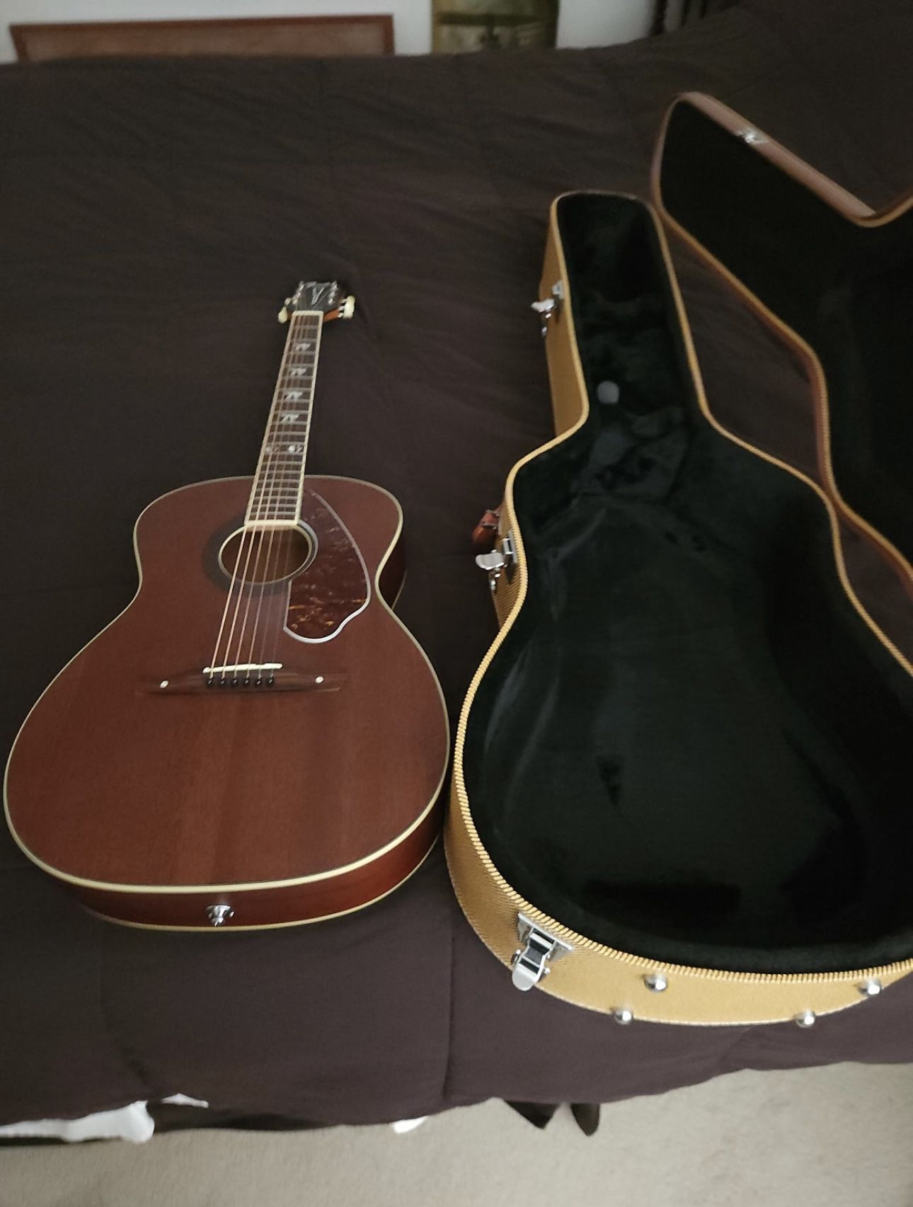 Acoustic Electric Guitar