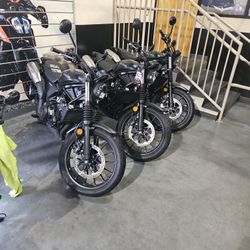 Ridenow Power Sports Ocala 