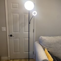 Floor Lamp With Adjustable Heads And Light