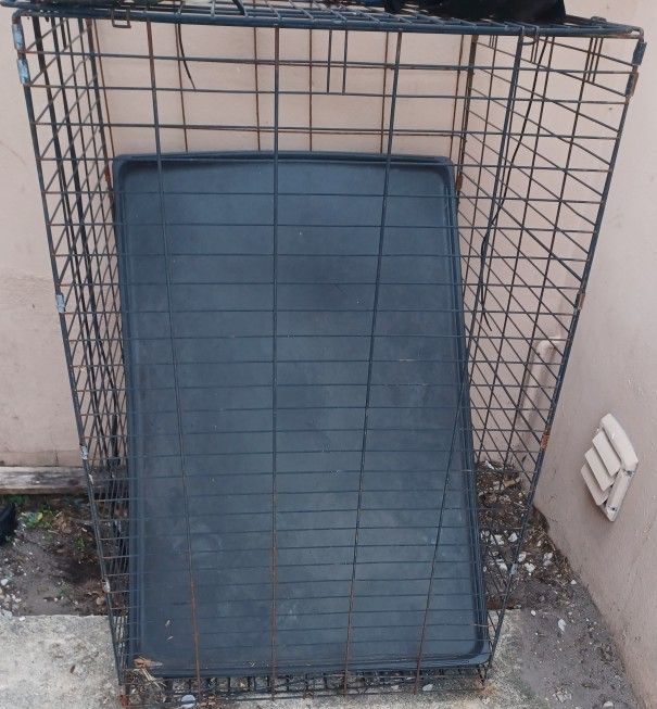 Used Dog Crate