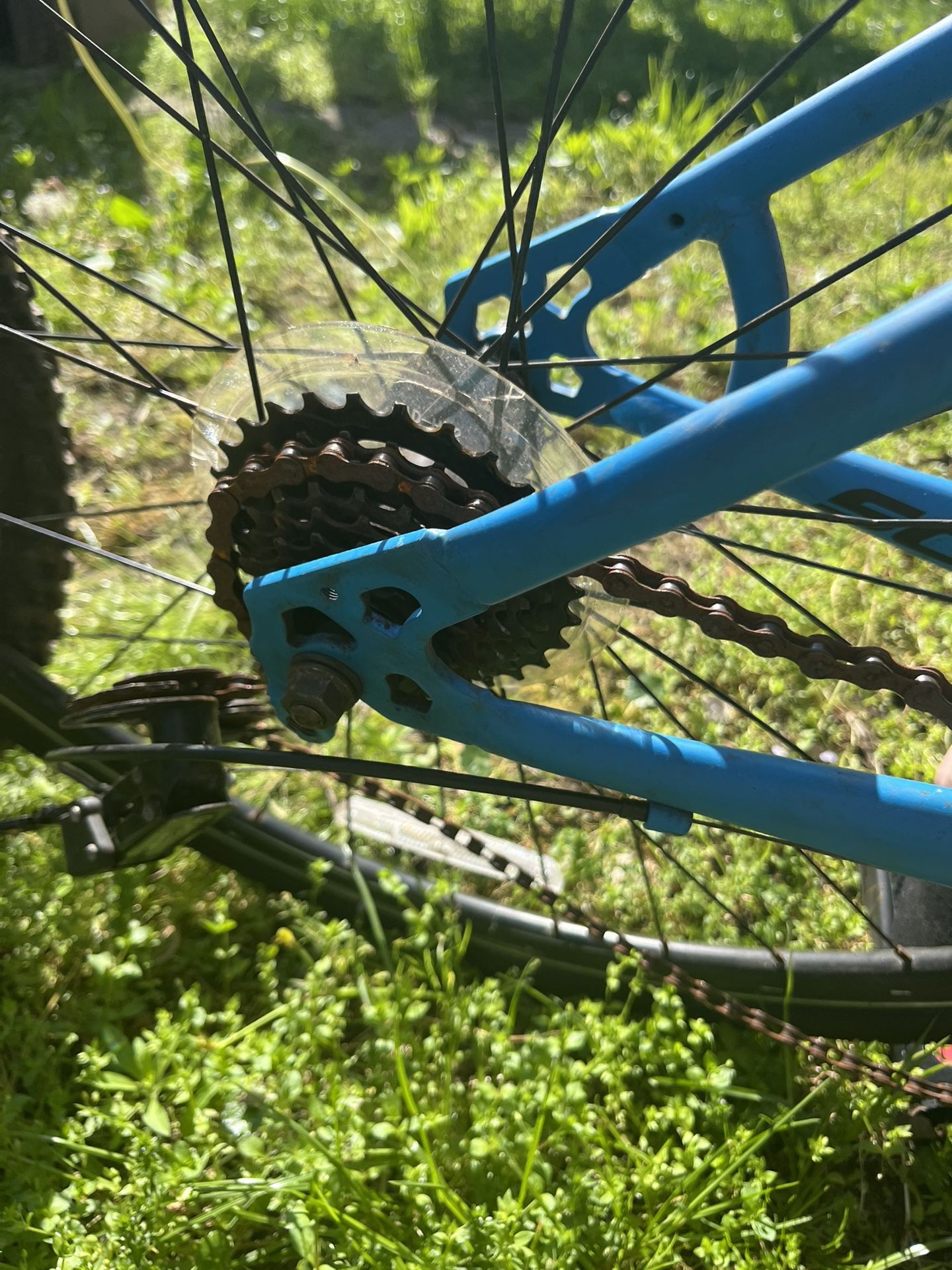 Schwinn Mountain Bike Needs One Bolt For Gear Box 