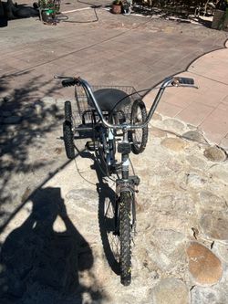 Vintage Black Tri Fecta Bike