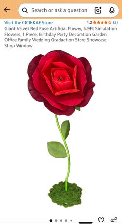Giant red roses