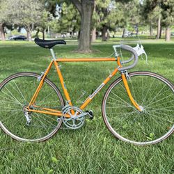 Windsor Profesional Vintage Road Bike