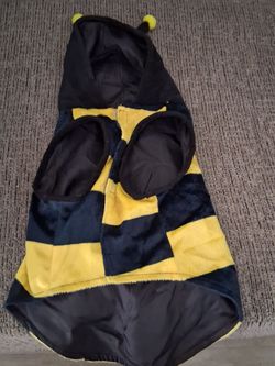 Vibrant life small/medium Halloween Costume For dogs