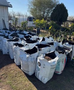 Potting Soil Bags For Sale $20 each /Tierra para plantas $20