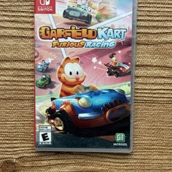 Garfield Kart Switch 