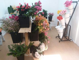 Flowers for ALL OCCASIONS