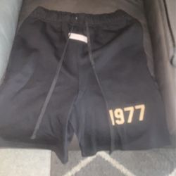 1977 Essentials Shorts