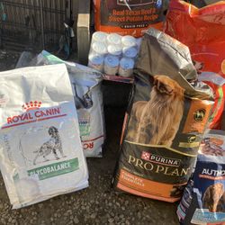 Dog Food 