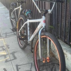 throne 29er