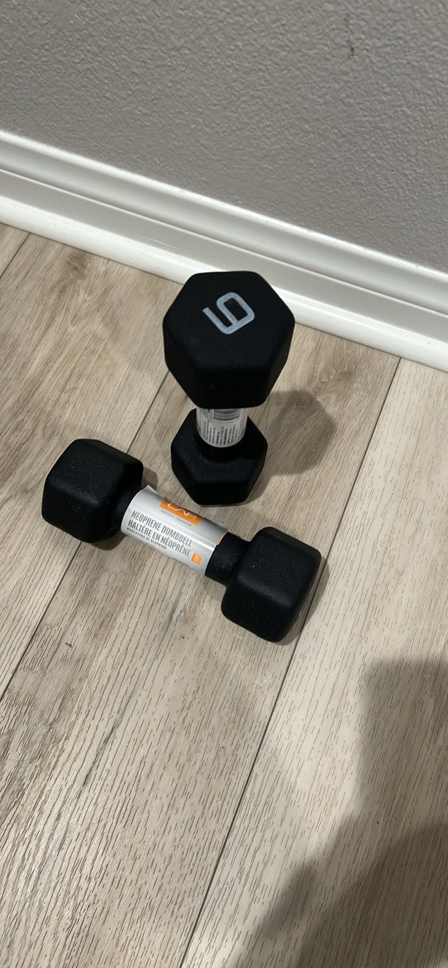 Two 6 Pound Weights /dumbbell