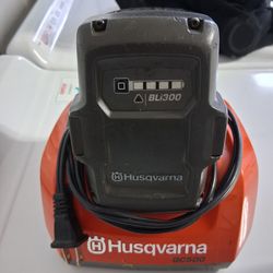 Husqvarna BLi300 Battery and charger