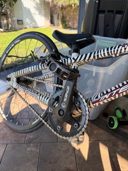 Intense Racing BMX Bike Zebra Print