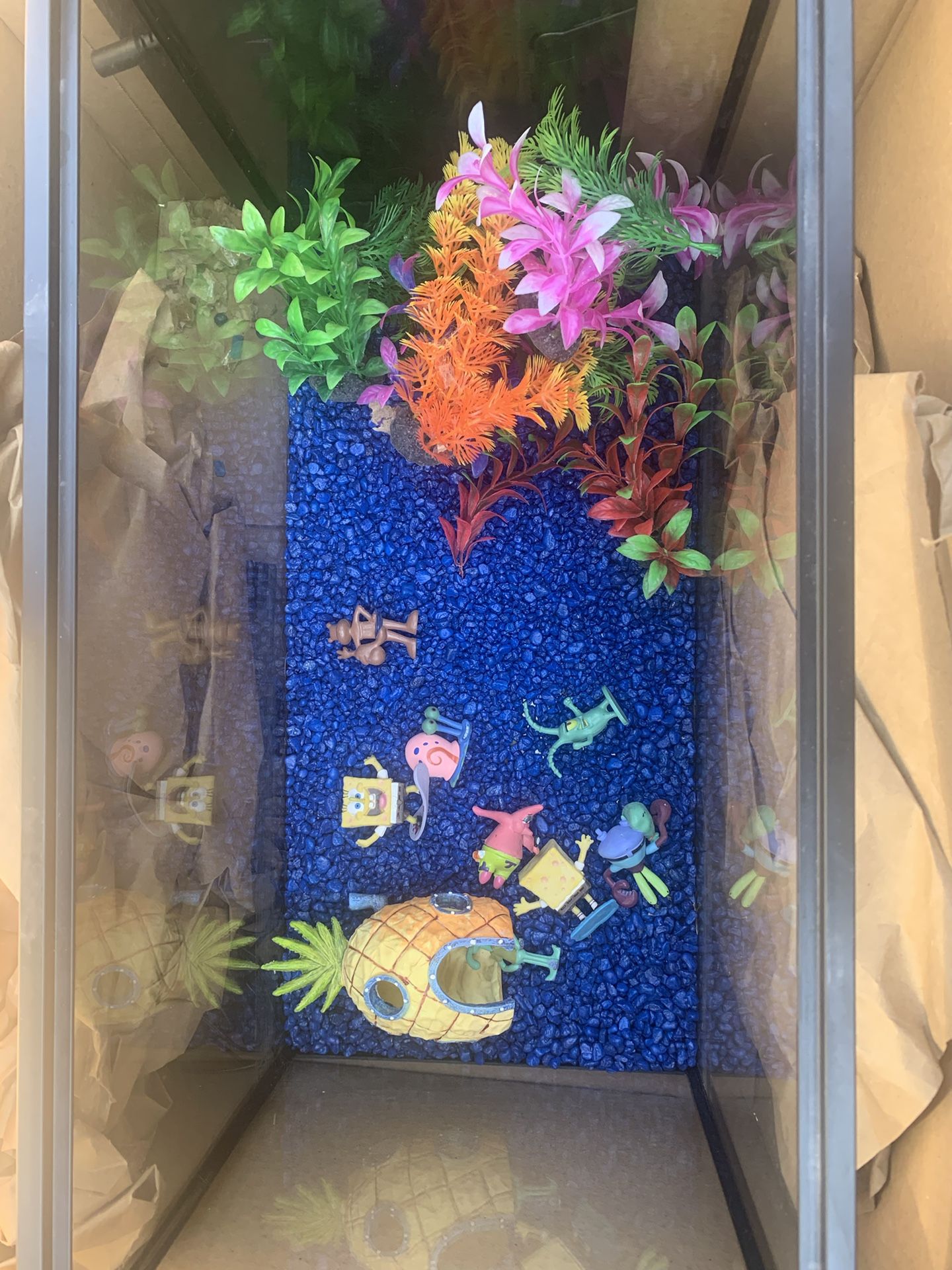 Fish Tank