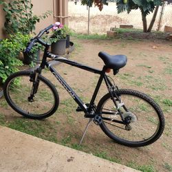 Cannondale Bike 