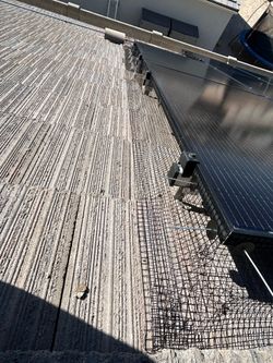 Solar panel bird proofing / guard