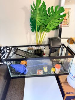20 gallon tank