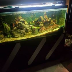 Aquarium 21 In Tall 72 In Wide 18 In Deep With Cabinet
