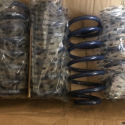 Mustang Coilovers Lowering Springs 