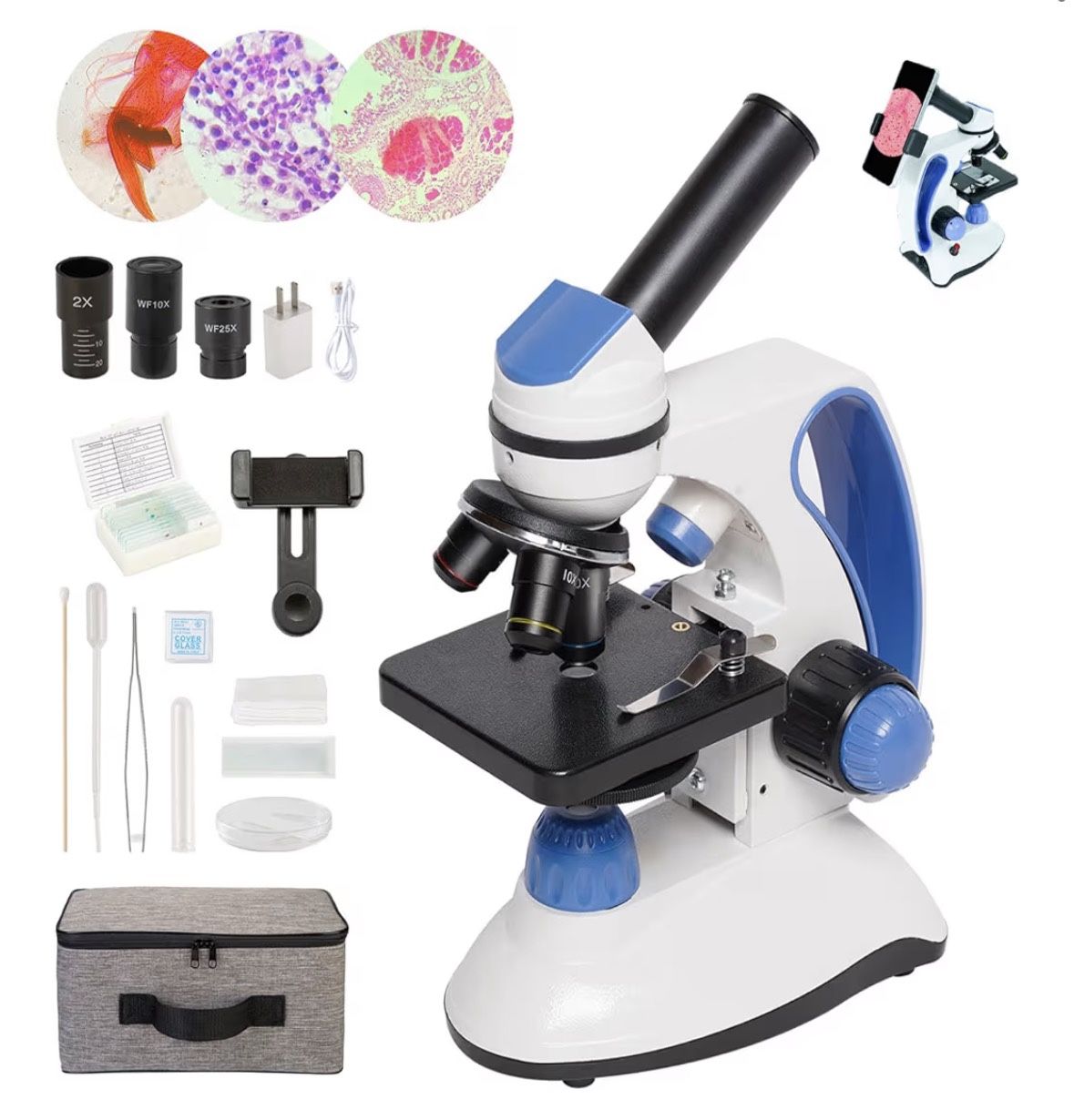 Microscope for Kids