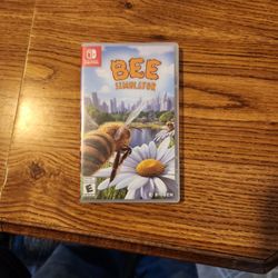 Nintendo Switch Game