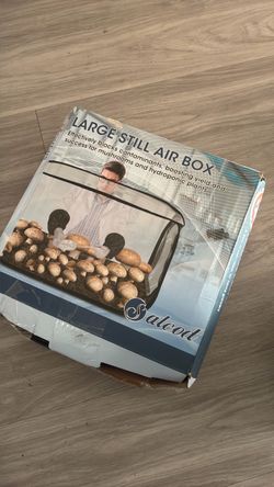 Large mushroom box