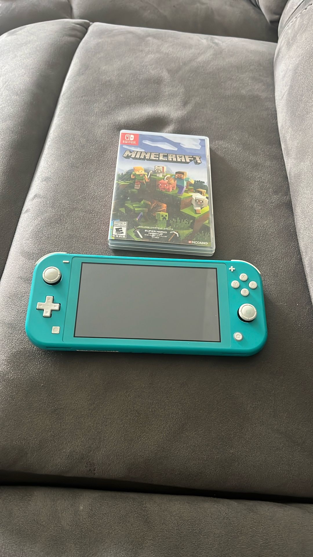 Nintendo Lite with Minecraft chip