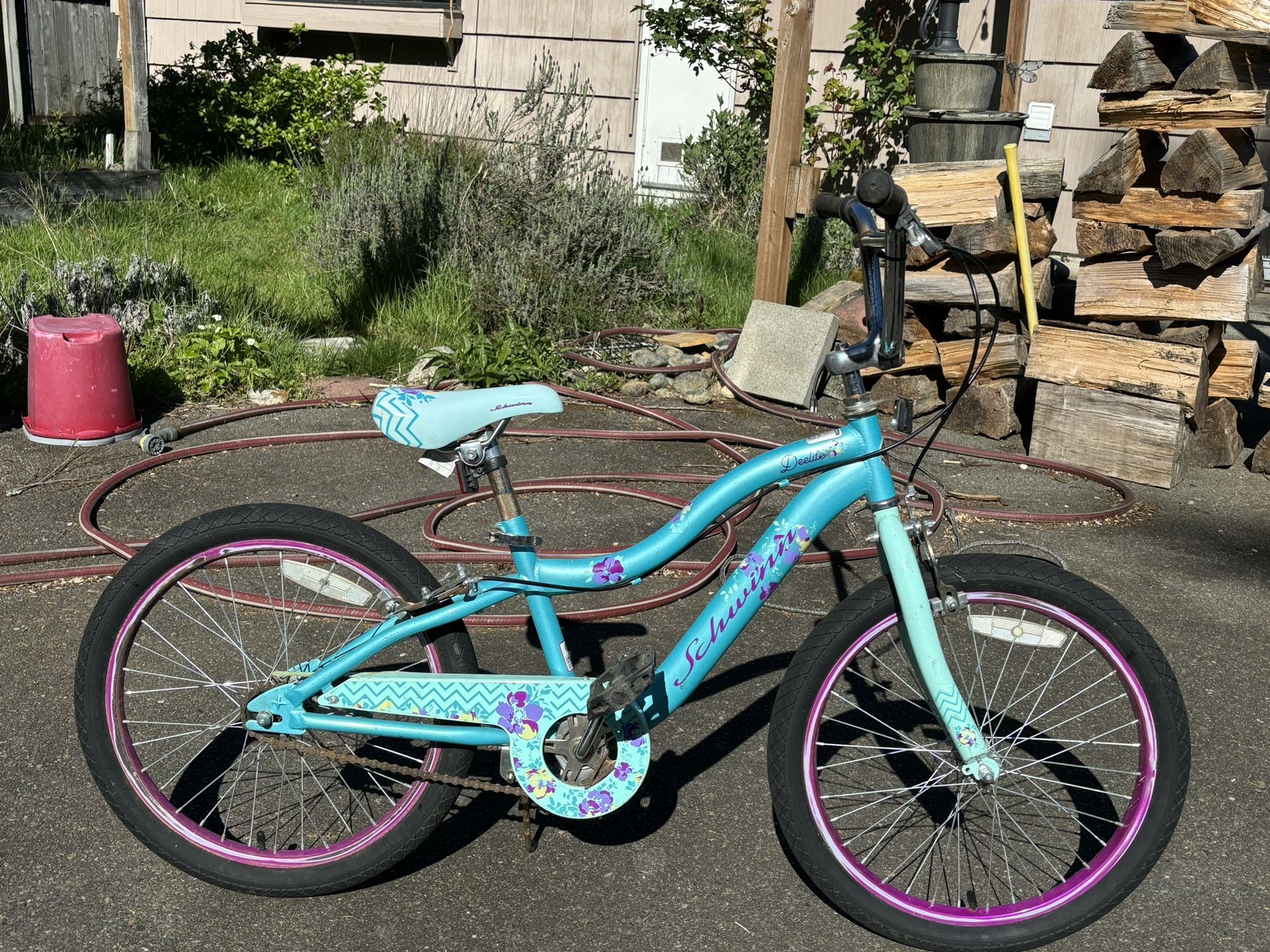 Girls 20 Inch Bicycle