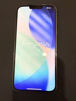 iPhone 13 Pro Max