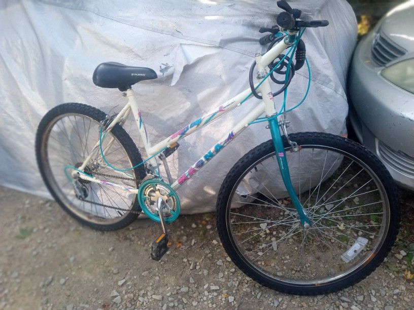 Mountain Bike Rides Shifts Stops TRANSPORTATION SPECIAL 