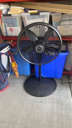Fan