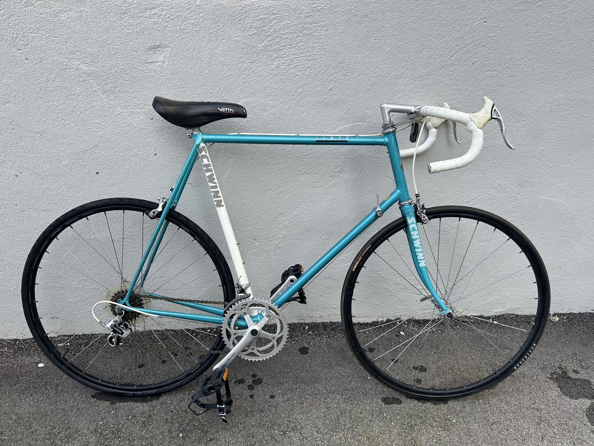 1987 Schwinn Tempo Columbus Tenax Steel Frame