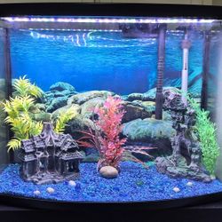 Deluxe 💎 Bowfront 36 gal. Aquarium with Stand. Pecera completa de lujo con frente convexo y base.
