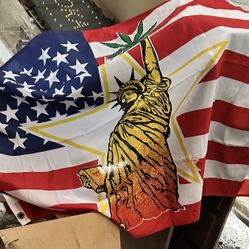 US Flag With Statue Of Liberty Holding A Leaf