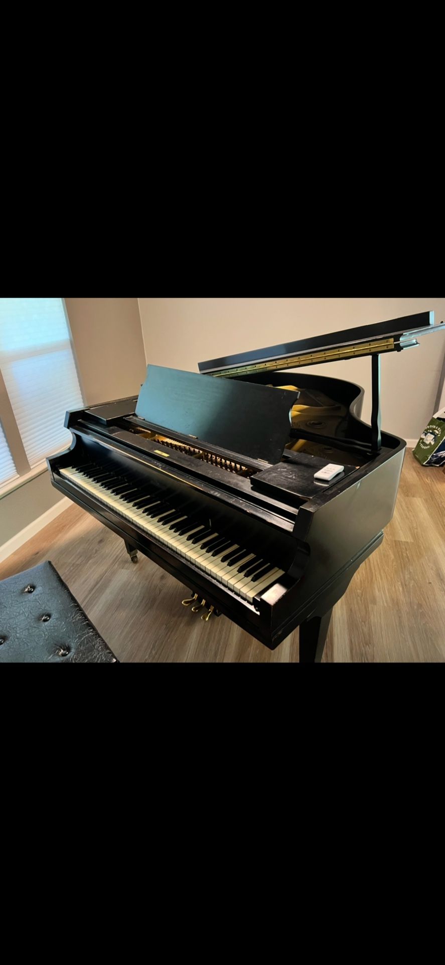 Wurlitzer Baby Grand Piano