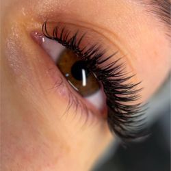 Lashes & Brows 