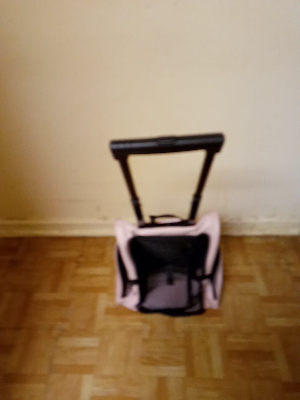 Small cat or small dog carrier with wheels