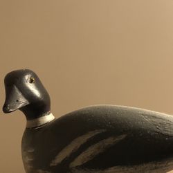 Patterson duck from 1920