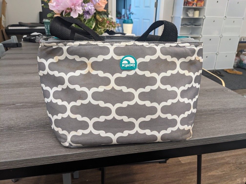 Igloo Insulated Lunch Bag